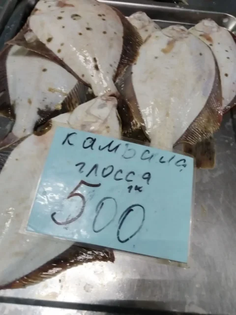 камбала глосса
