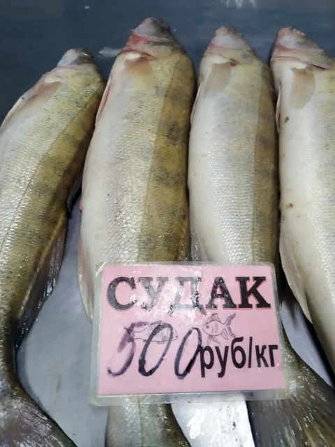 судак
