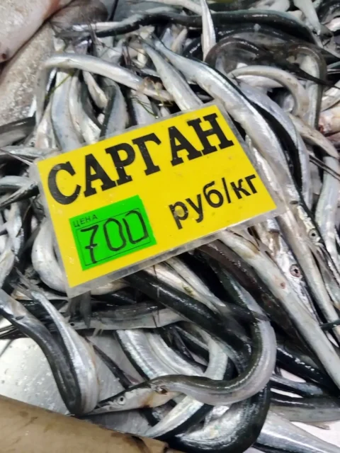сарган