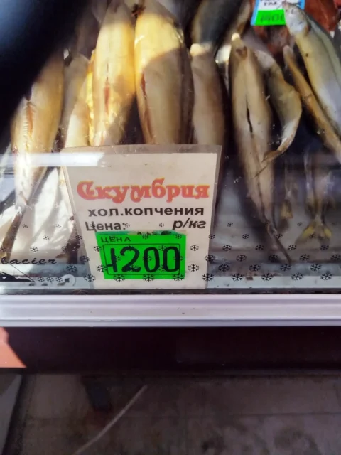 скумбрия