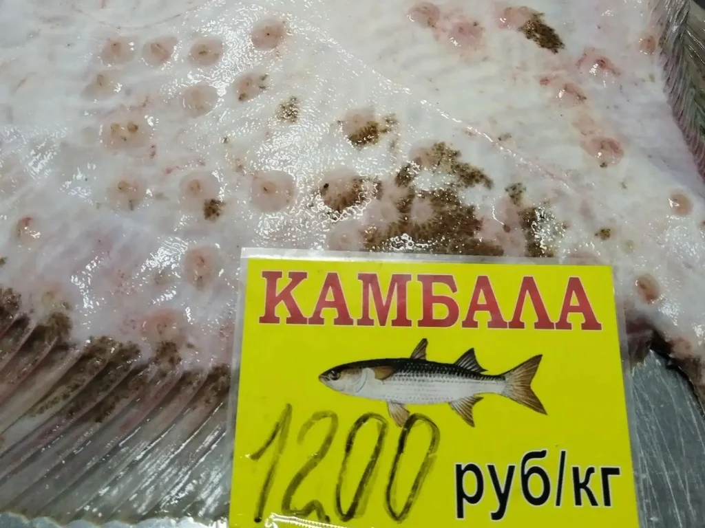камбала