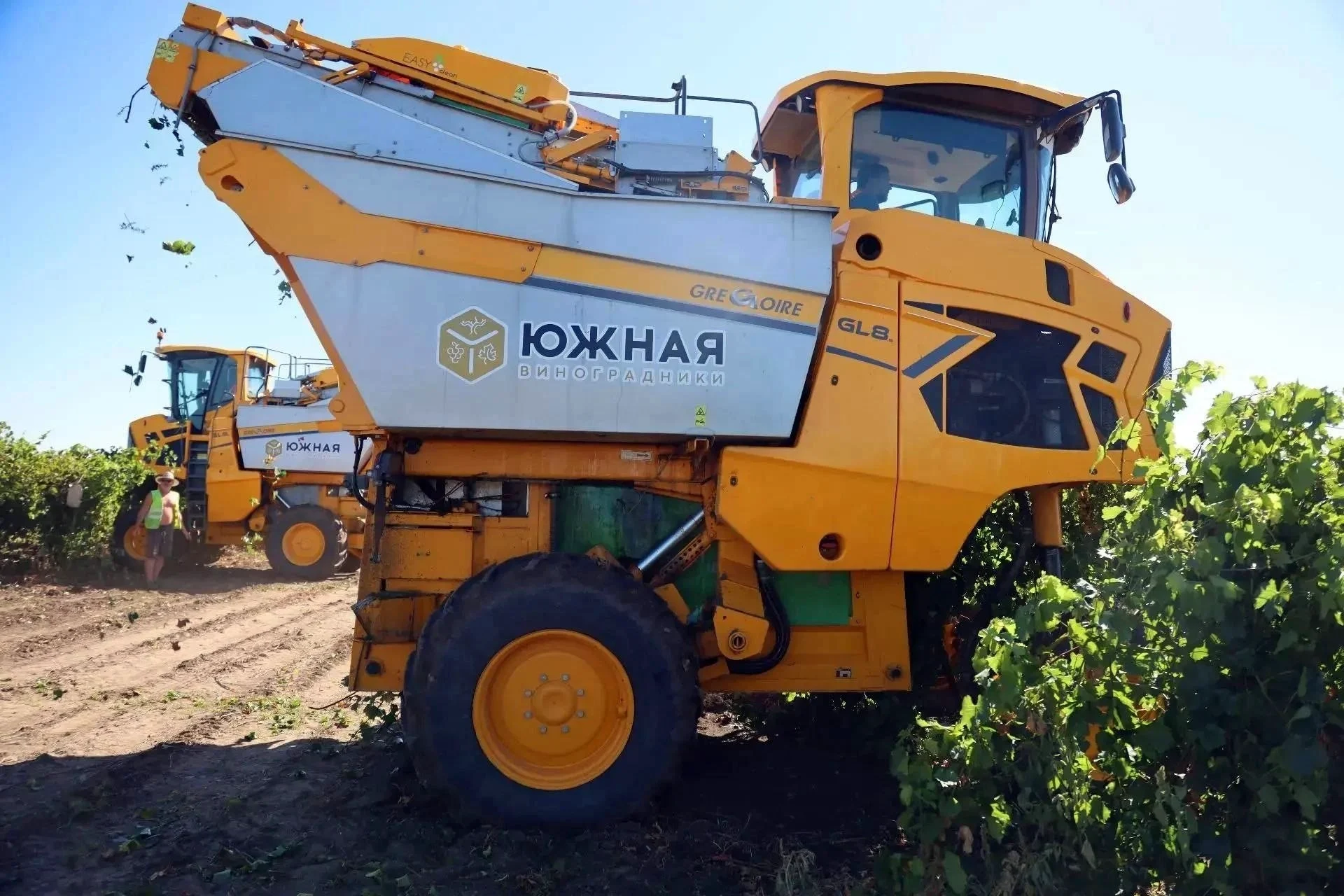 Агрофирма Южная (Анапа)