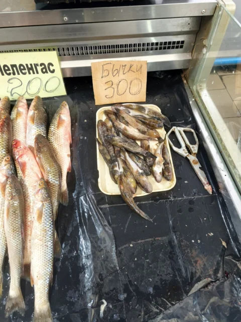 пеленгас, бычки